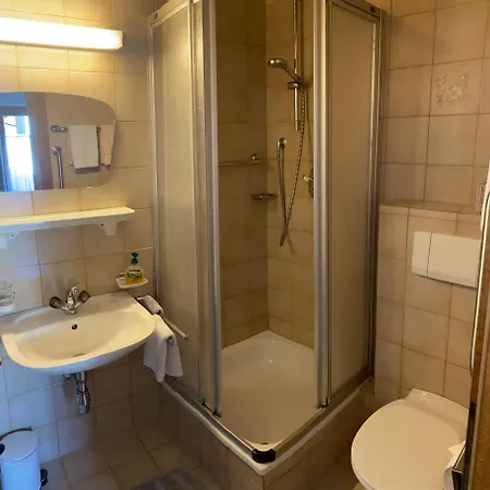 Schwemberger Ohne Fruehstueck 3* מאיירהופן