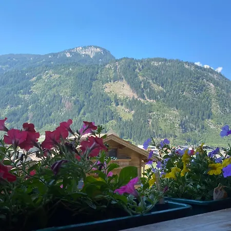 Schwemberger Ohne Fruehstueck