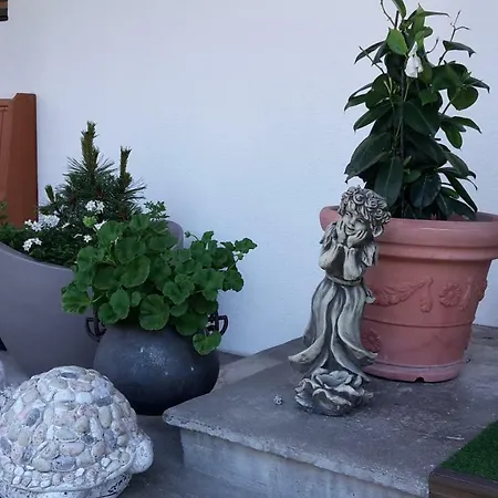 Schwemberger Ohne Fruehstueck מאיירהופן