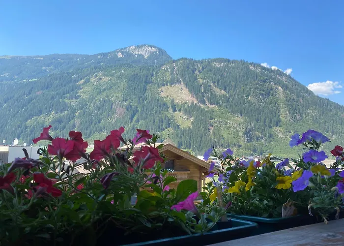 Schwemberger Ohne Frühstück